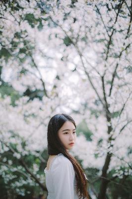 成全在线观看免费完整版第6